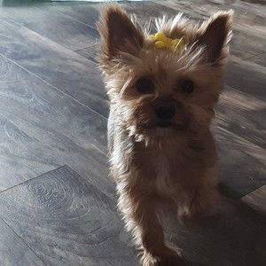 Meet your Posher, Christopher